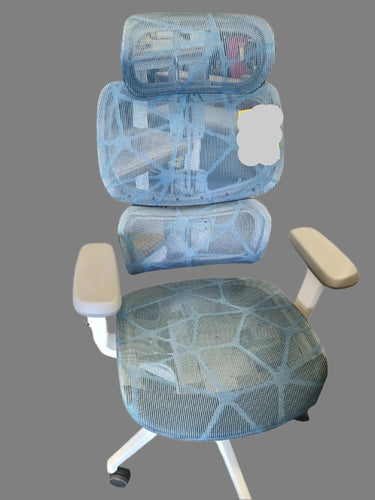 8156 Blue Ergonomic Mesh Desk Chair $339.00