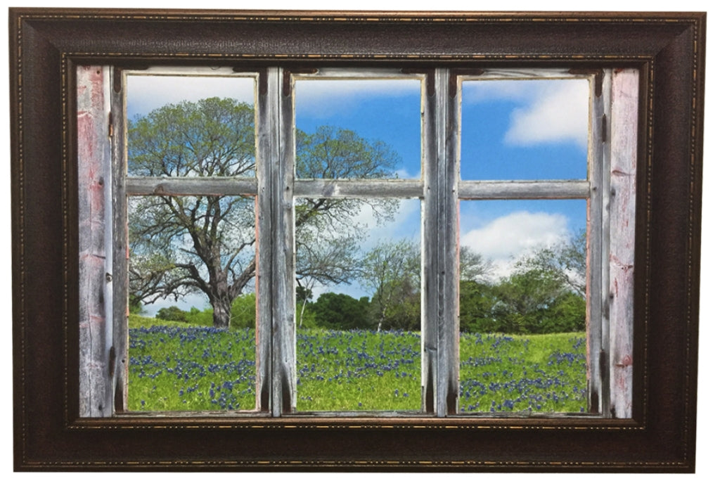 30x45 Bluebonnet View